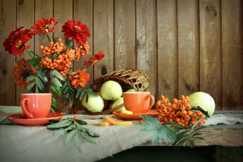 обоя рисованное, еда, лето, яблоки, цинния, цветы, рябина, композиция