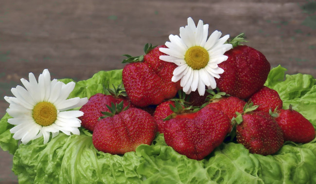 Обои картинки фото рисованное, еда, ягоды, цветы, ромашки, клубника