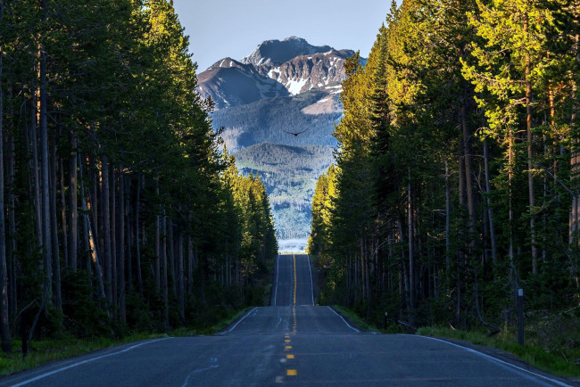Обои картинки фото природа, дороги, шоссе, лес, горы