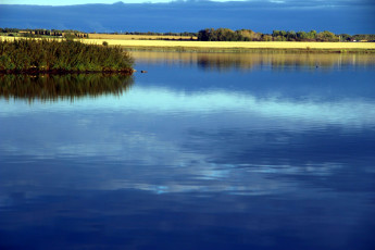 Картинка природа реки озера река простор