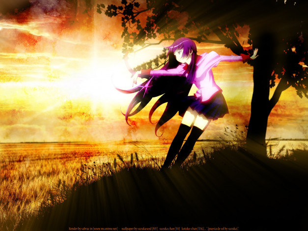 Обои картинки фото аниме, bakemonogatari, senjougahara hitagi, девушка, форма, природа, дерево, трава, солнце, закат