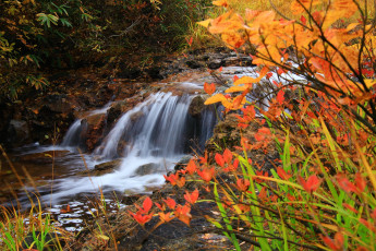 Картинка природа водопады камни вода лес осень
