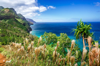 Картинка природа побережье рай гавайи простор