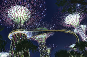 Картинка города сингапур освещение оригинальный дизайн сад