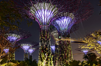 обоя города, сингапур, сад