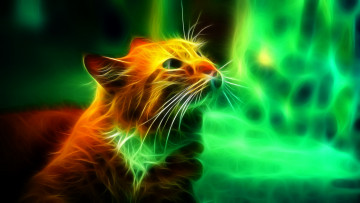 Картинка 3д графика animals животные кошка рыжий