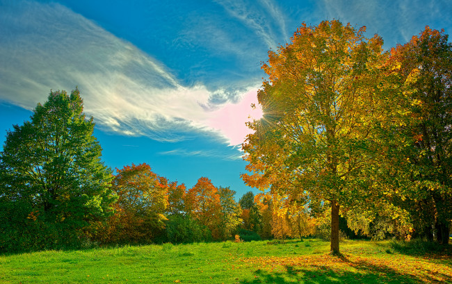 Обои картинки фото природа, деревья, hdr, осень