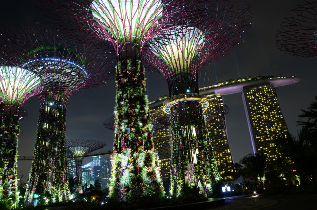 Обои картинки фото города, сингапур, оригинальный, дизайн, сад, освещение
