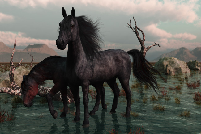 Обои картинки фото 3д графика, животные , animals, лошади