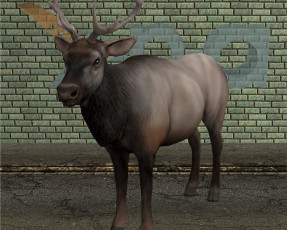 Картинка 3д+графика животные+ animals фон рога олень