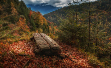 Картинка природа горы лес скамейка осень