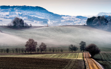Картинка природа пейзажи туман деревья поля италия холмы дома