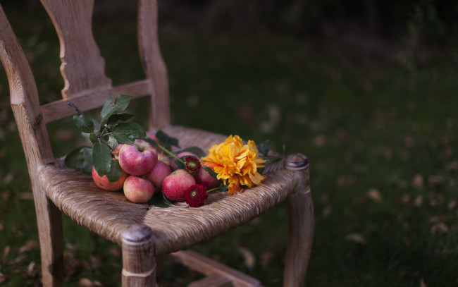 Обои картинки фото еда, Яблоки, подсолнух, яблоки, стул