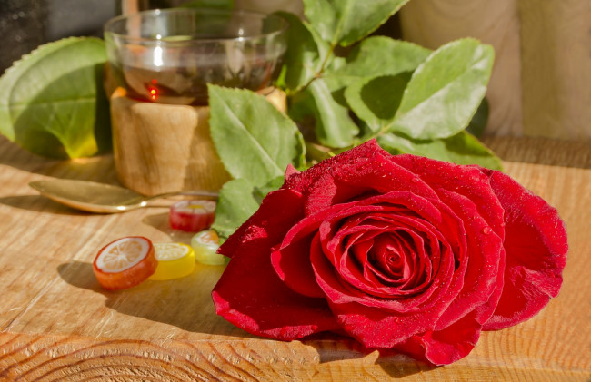 Обои картинки фото цветы, розы, роза, красная, лепестки, мармелад