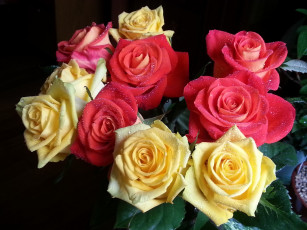 Картинка цветы розы букет персиковый розовый