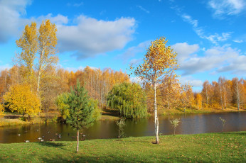 Картинка природа реки озера парк золотая осень пейзаж октябрь красота