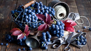 Картинка еда виноград листья ягоды ножницы