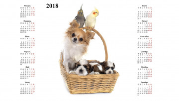 обоя календари, животные, белый, фон, корзина, попугай, собака