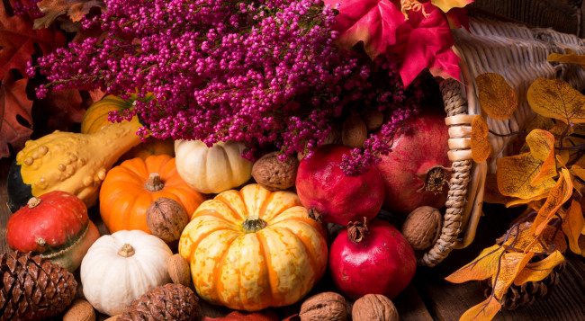 Обои картинки фото еда, фрукты и овощи вместе, дары, осени, орехи, тыква, гранат, цветы, натюрморт, листья