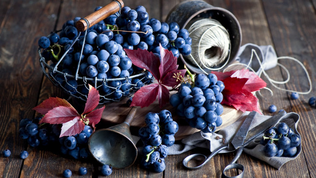 Обои картинки фото еда, виноград, листья, ягоды, ножницы