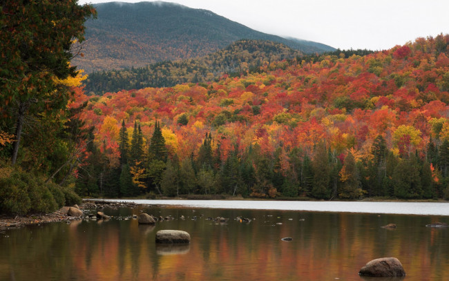 Обои картинки фото природа, реки, озера, осень, лес, деревья, озеро, горы