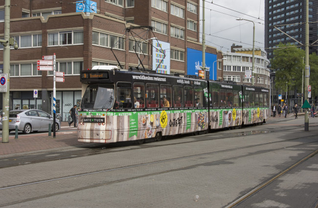 Обои картинки фото техника, трамваи, трамвай, рельсы
