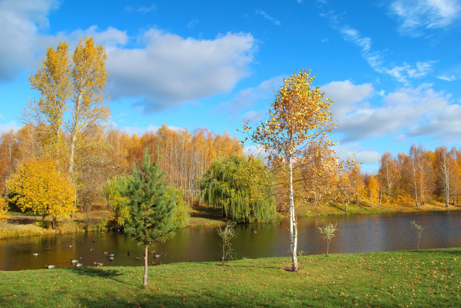 Обои картинки фото природа, реки, озера, парк, золотая, осень, пейзаж, октябрь, красота