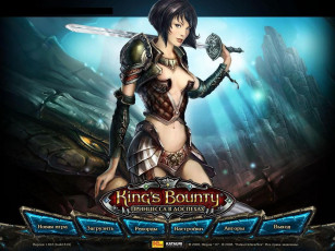 Картинка видео игры king`s bounty armored princess