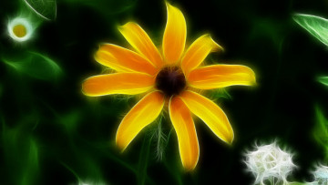 Картинка 3д графика flowers цветы тёмный жёлтый цветок