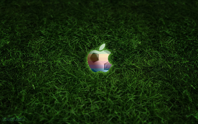 Обои картинки фото компьютеры, apple, яблоко, логотип, трава, мяч