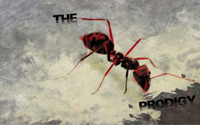 Обои картинки фото the, prodigy, музыка, лого, муравей
