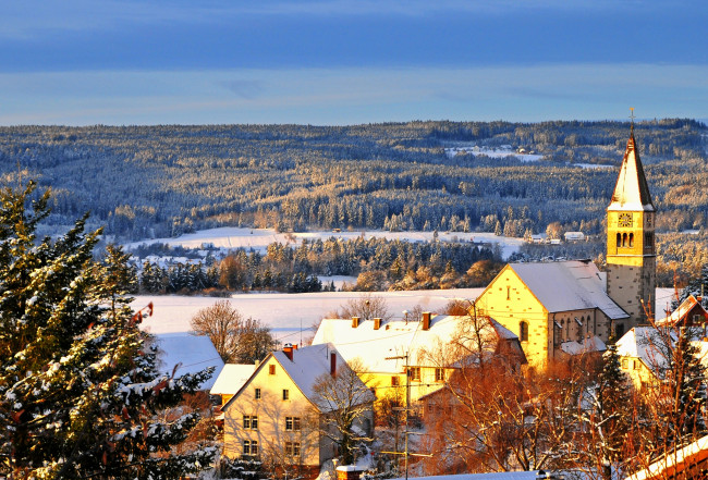 Обои картинки фото шварцвальд, германия, города, пейзажи, крыши, лес, снег, зима