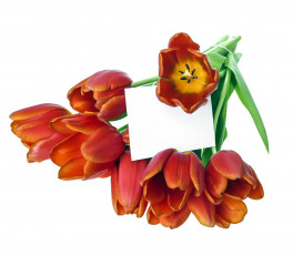 Картинка цветы тюльпаны записка букет