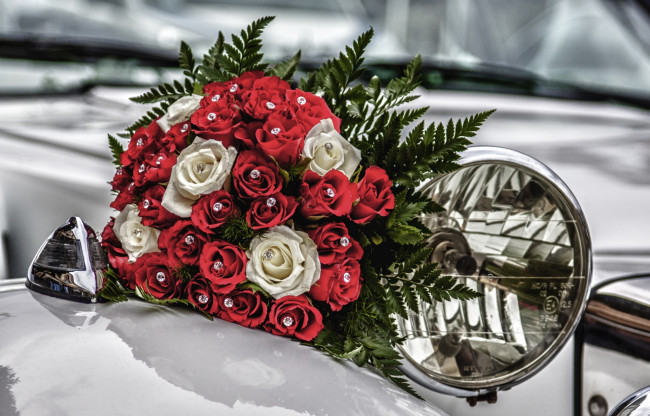Обои картинки фото цветы, розы, свадебный, авто