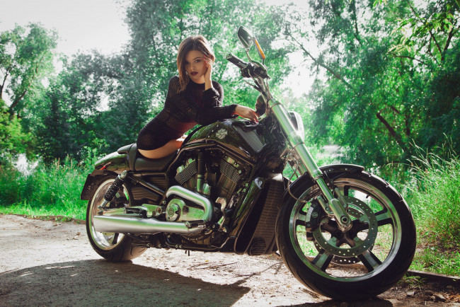 Обои картинки фото мотоциклы, мото с девушкой, harley, davidson