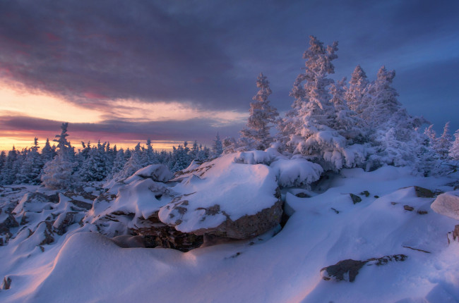 Обои картинки фото природа, зима, холод, деревья, снег, россия