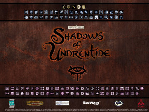 Картинка neverwinter nights видео игры shadows of undrentide
