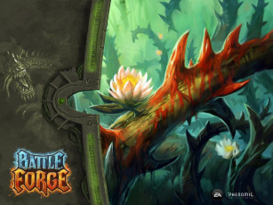 Картинка видео игры battleforge