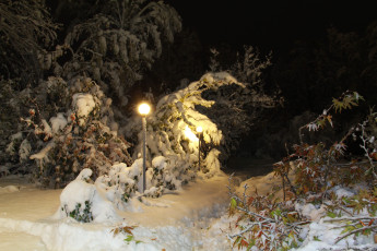 Картинка природа зима парк снег