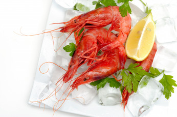 Картинка еда рыба морепродукты суши роллы креветки лимон лёд