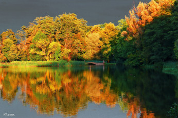 Картинка природа парк озеро мостик деревья осень