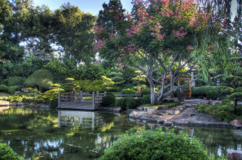 Картинка earl burns miller japanese garden california usa природа парк сад