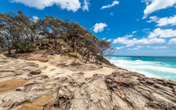 Картинка north stradbroke island queensland australia природа побережье австралия океан деревья