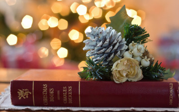 Картинка праздничные разное новый год шишка книга
