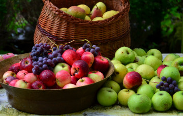 Картинка еда фрукты ягоды яблоки сливы груши