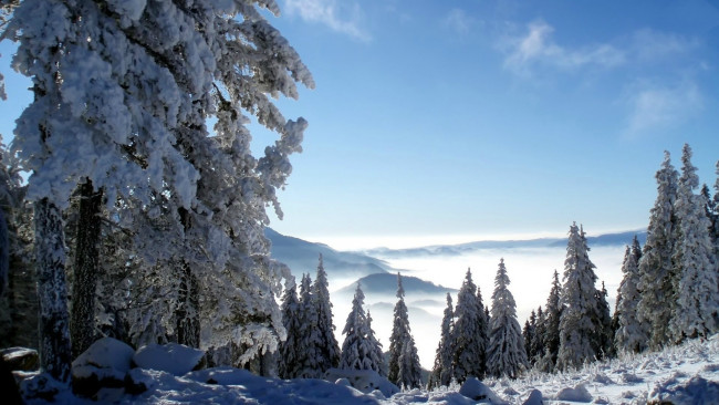 Обои картинки фото природа, зима, облака, туман, горы, сугробы, снег, лес