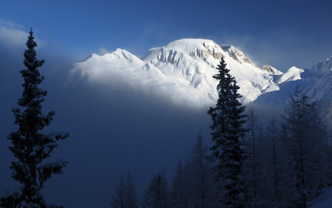 Обои картинки фото nevada, mountains, природа, горы, вершина, снега, лес