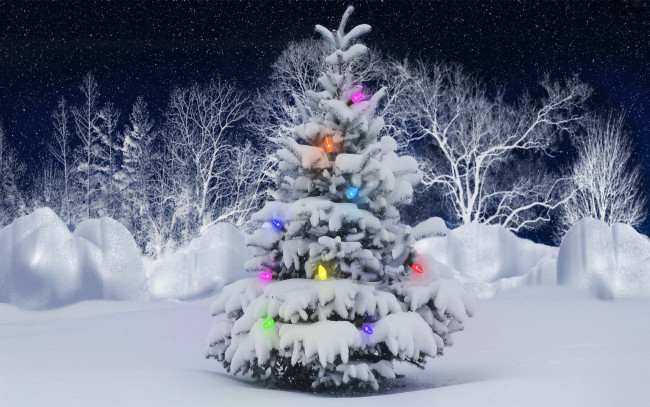 Обои картинки фото праздничные, Ёлки, лампочки, елка, снег