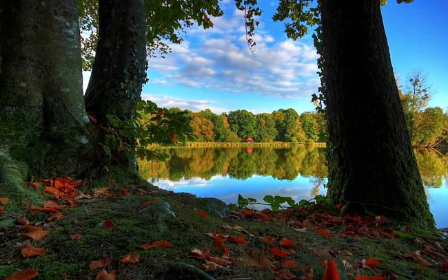 Обои картинки фото природа, реки, озера, осень, деревья, листья, озеро