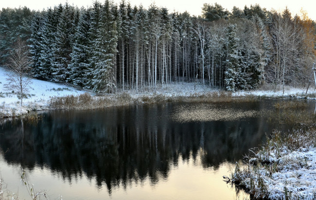 Обои картинки фото литва, пренай, природа, зима, лес, река, снег